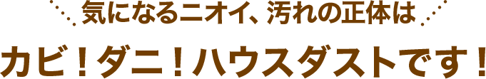 創業5周年キャンペーンでできる事